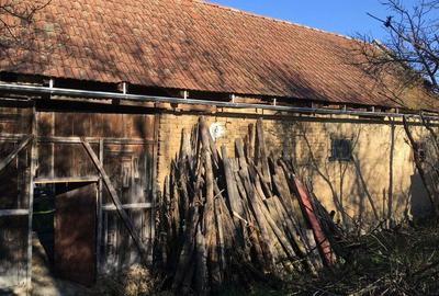 Casă cu 3 camere cu Teren 2000 Mp în Tirol - 10