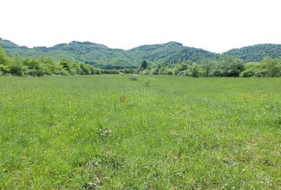 Teren Intravilan - Pretabil Investitie - 4