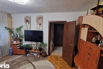 Apartament cu 2 camere semidecomandat, mobilat în Brazda lui Novac - 4