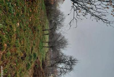 Teren de 1100 mp, în Scorțeni - 2
