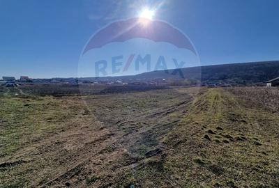 Teren Construcții intravilan de 2002 mp, în Hemeiuș - 3