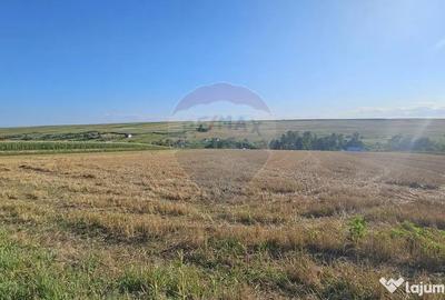 Teren de 7500 mp, în Moara - 17
