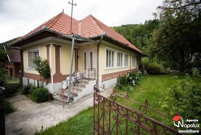 Casă cu 4 camere cu Teren 3100 Mp în Vale - 5