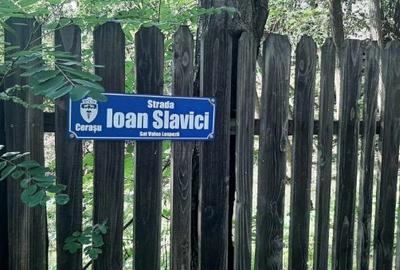 Teren vanzare comuna Cerasu, Prahova - 7