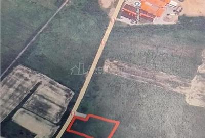 Teren de 1500 mp, în Sud