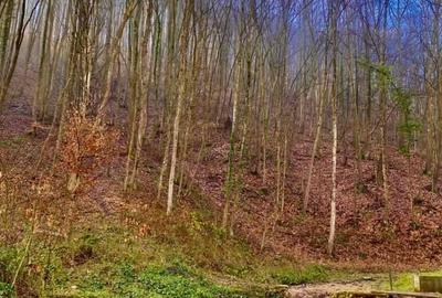 Teren pentru investitii 11.000 mp - 26