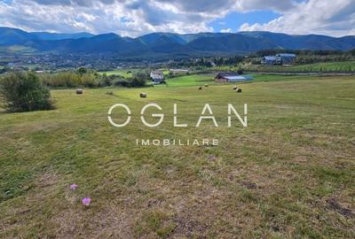 Teren Tocile (parcelabil) 3500 mp - 3