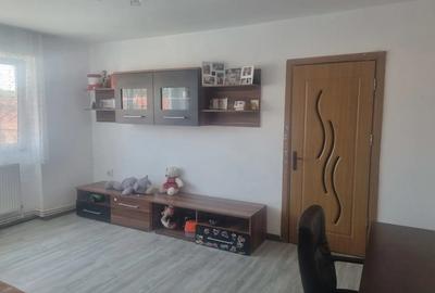 Apartament 2 camere nedecomandat 50 mp Etaj 4 ?arpanta la scara Priveli?te Mun?ii Parang - 5