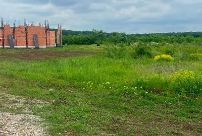 Proprietar vand  lot teren intravilan  Balotesti langa  padure - 3