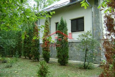Casă cu Teren 916 Mp în Cornu - 3