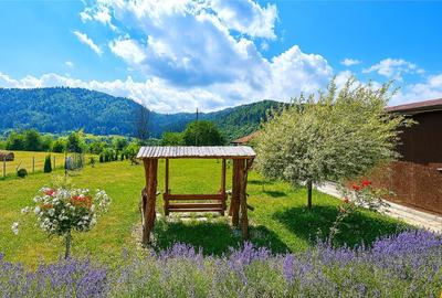 Refugiu pretios:jacuzzi, lemn masiv,2.000 mp teren,4 dormito - 3