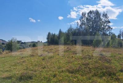 Teren de 4604 mp, în Central