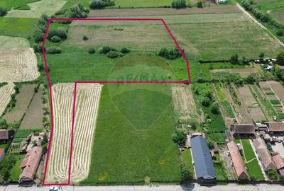 Teren de 15360 mp, în Blăjel - 1