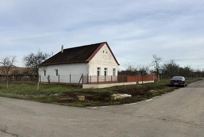 Casa de vanzare in Firiteaz, 24 km de Arad, 2787 metri patra?i. - 5