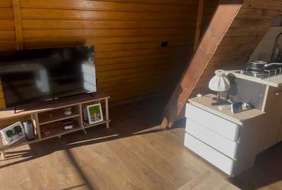 Casă cu 2 camere cu Teren 400 Mp în Dâmbovicioara - 10