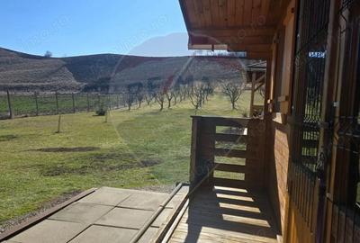 Teren de 2900 mp, în Păucea - 4