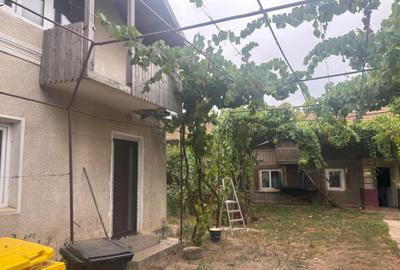 Casă cu 7 camere cu Teren 2023 Mp în Coșoveni - 7