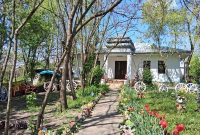 Casă cu 4 camere cu Teren 3000 Mp în Zorleni - 4