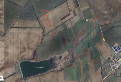 Teren de 11510 mp, în Tămășeu - 1