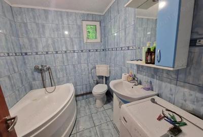 Resita Chirie Teren 3924 mp. si Constructie, Valea Terovei - 10