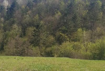 Teren de 5742 mp, în Bratca - 5
