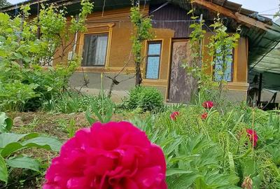 Casă cu 6 camere cu Teren 3555 Mp în Ileana - 5