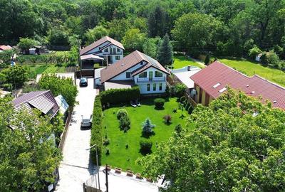 Vilă spectaculoasă la poalele Cr?ngului Petresti - 2