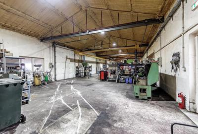 Hale depozitare/produc?ie 2.000 mp si 10.000 mp teren in Pecica - 3