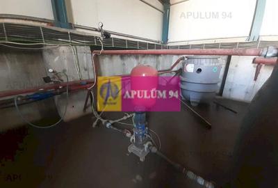 Spațiu industrial, de 4,850 mp, în 1 Decembrie - 12