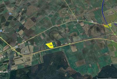 20 ha teren arabil intre Arad si Pecica 20 ha teren arabil intre Arad si Pecica - 5