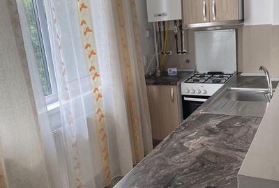 Garsonieră în Valea Lupului - 1