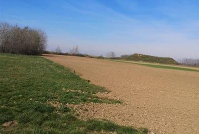 RECO Teren Santion - 2