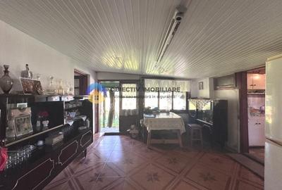 Casă individuală cu 6 camere cu Teren 6329 Mp în Alexandru cel Bun - 20