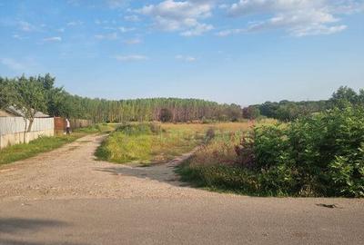 Se vinde teren 4200 mp in Teisori Giurgiu - 18