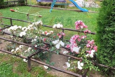 Hotel 20 camere de vanzare in statiunea Izvoare Maramures - 4