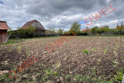 De vânzare casă familială în Tinoasa, la 4 km de Târgu Secuiesc! - 15