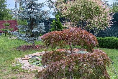 Proprietar, parter la casa cu etaj, Mogosesti - Iasi, 10 km Proprietar, parter la casa cu etaj, Mogosesti - Iasi, 10 km - 9