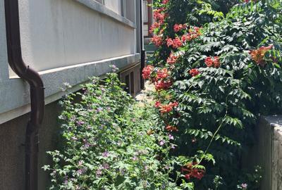 VANZARE APARTAMEN VILA INTERBELICA MOSILOR - 3