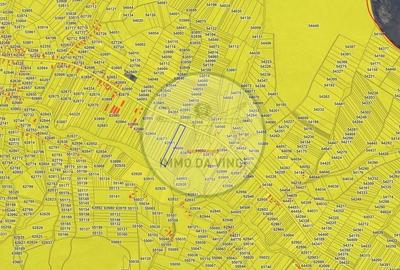 Teren de 38000 mp, în Borșa - 12