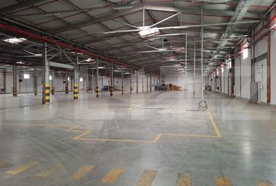 Hala moderna, 10.766 mp, zona Turda-Campia Turzii - 5