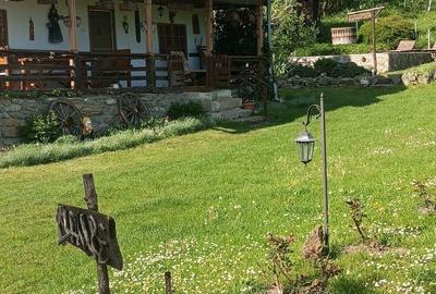 Casă cu 2 camere cu Teren 3000 Mp în Stoenești - 1