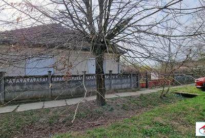 Casă cu 2 camere în Micula - 17