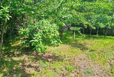 Casă cu 4 camere cu Teren 7481 Mp în Bodești - 11