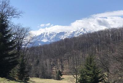 Teren extravilan de 4900 mp, în 13 Decembrie - 8