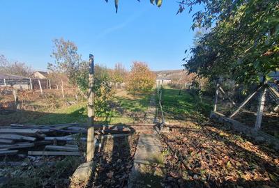 Vind casa in com Covasint - 5