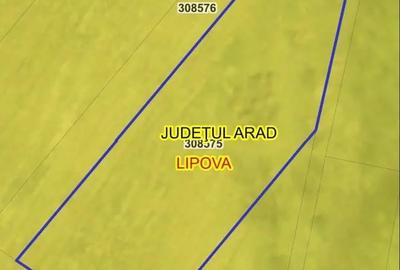 Teren de 5000 mp, în Radna - 5