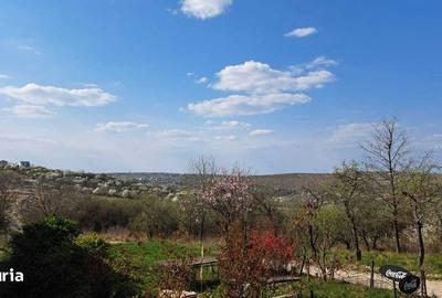 Teren de 875 mp, în Spitalul Județean - 1