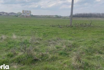 Teren de 1000 mp, în Central