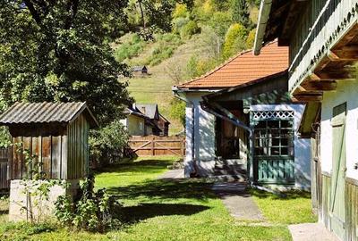 Casa cu teren 3000m2 intravilan - 10