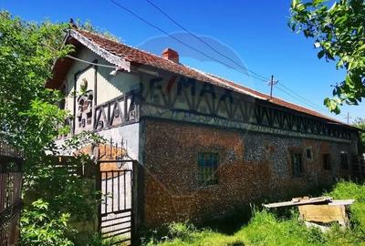 Vanzare Casa-Conac boieresc stil Baroc cu teren in Stoenesti, jud Olt - 7